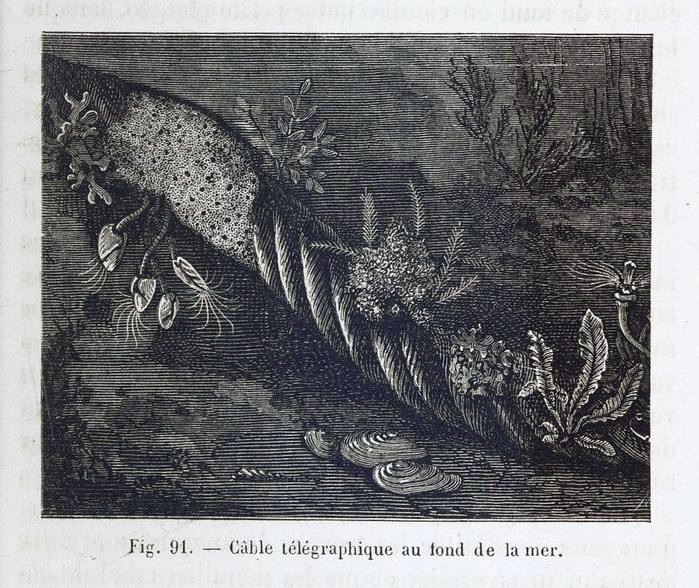 Underwater cable illustration
